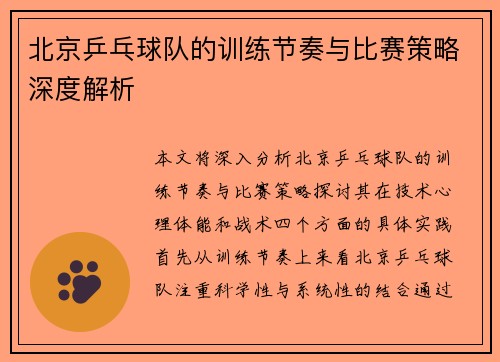 北京乒乓球队的训练节奏与比赛策略深度解析
