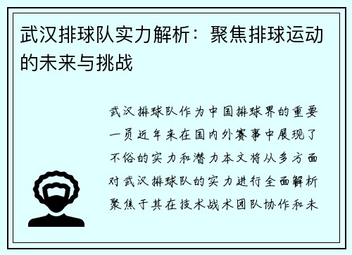 武汉排球队实力解析：聚焦排球运动的未来与挑战