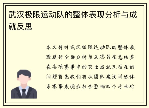 武汉极限运动队的整体表现分析与成就反思